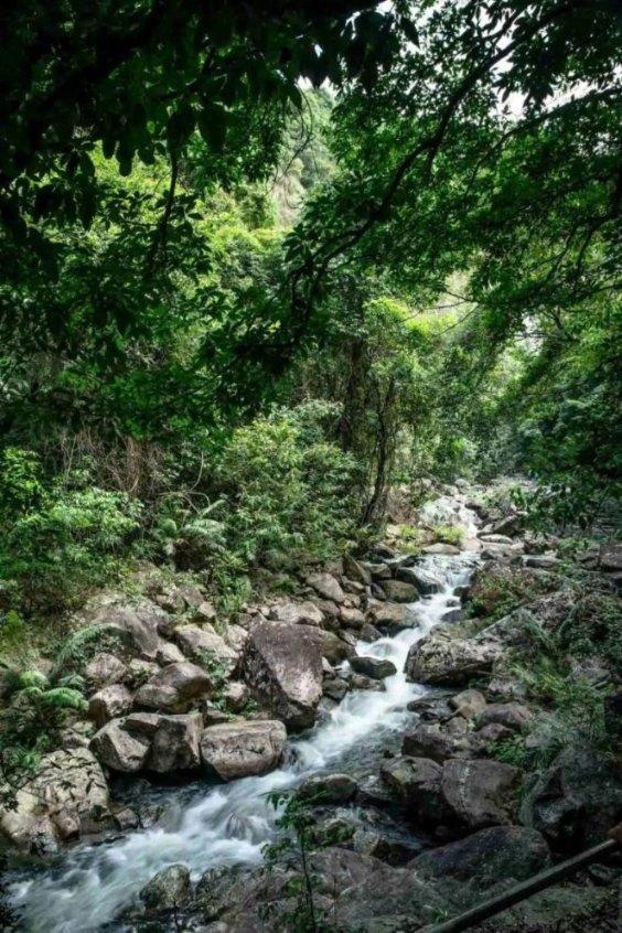 康复治疗士发证时间游戏画面